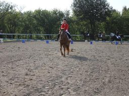 img-2868-071-883